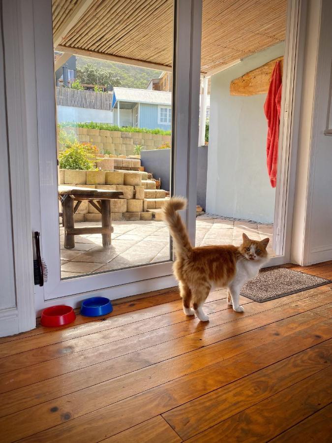 Villa Amanzi Hout Bay Εξωτερικό φωτογραφία
